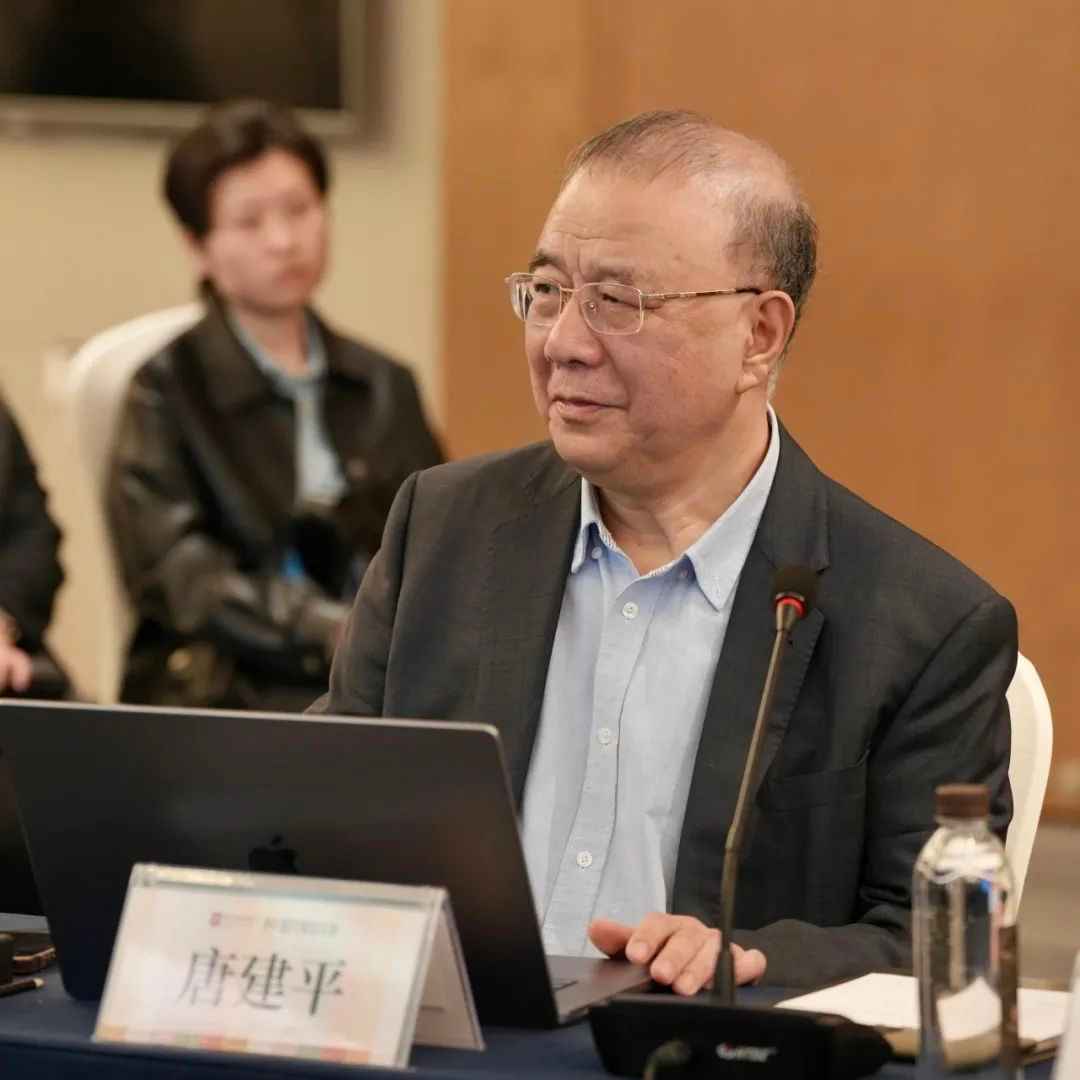 激活传统基因,回应时代命题丨“纪念刘天华诞辰130周年暨中国民族音乐的当代发展座谈会”及专家讲座成功举办-中央音乐学院